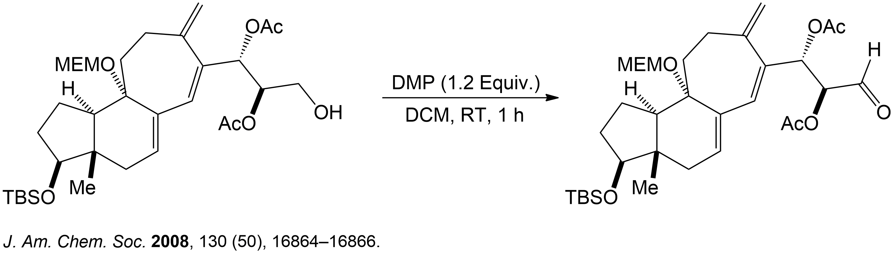 DMP Oxidation (Light Mode) Hero Light