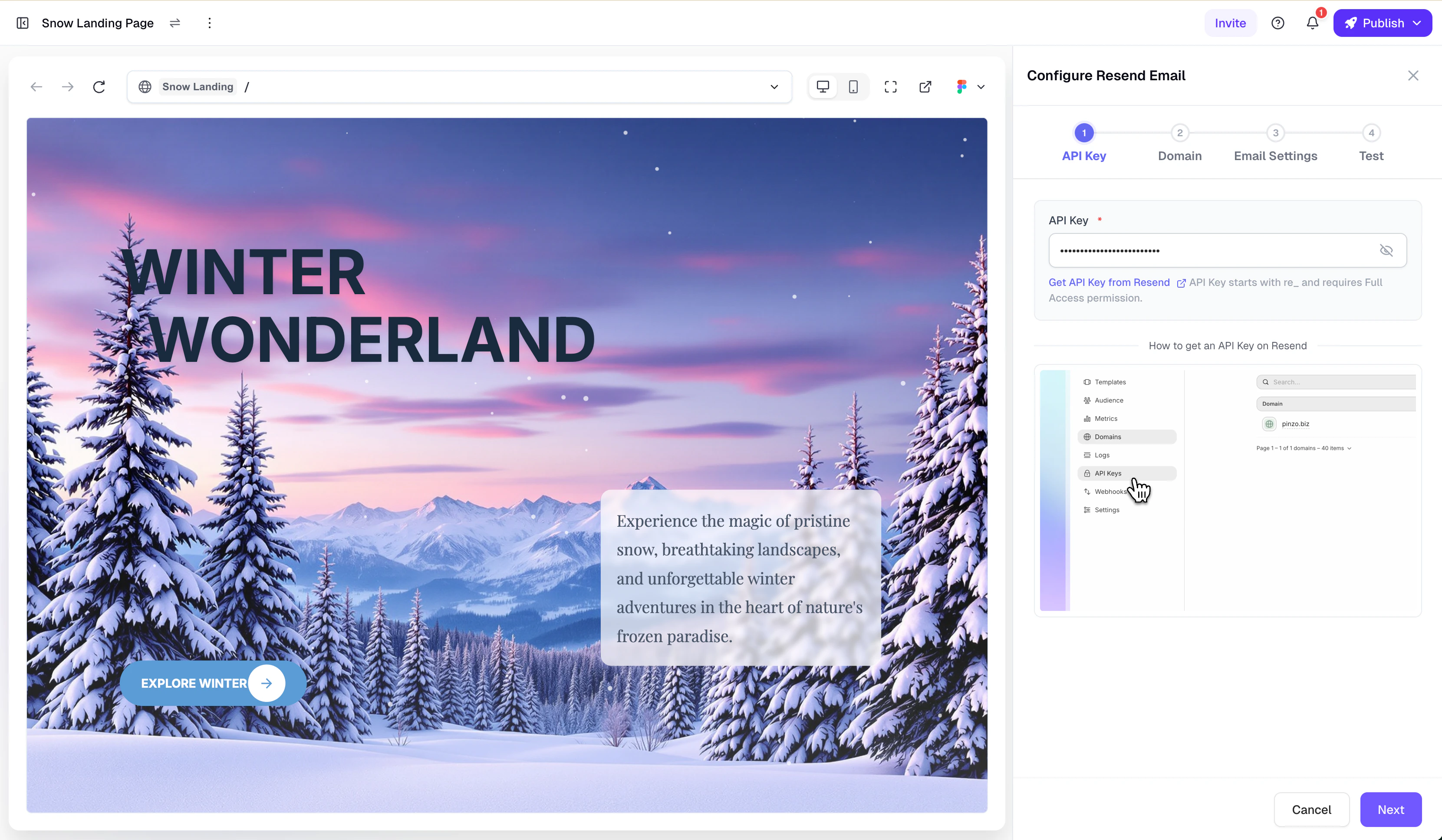 API Key input step in Readdy