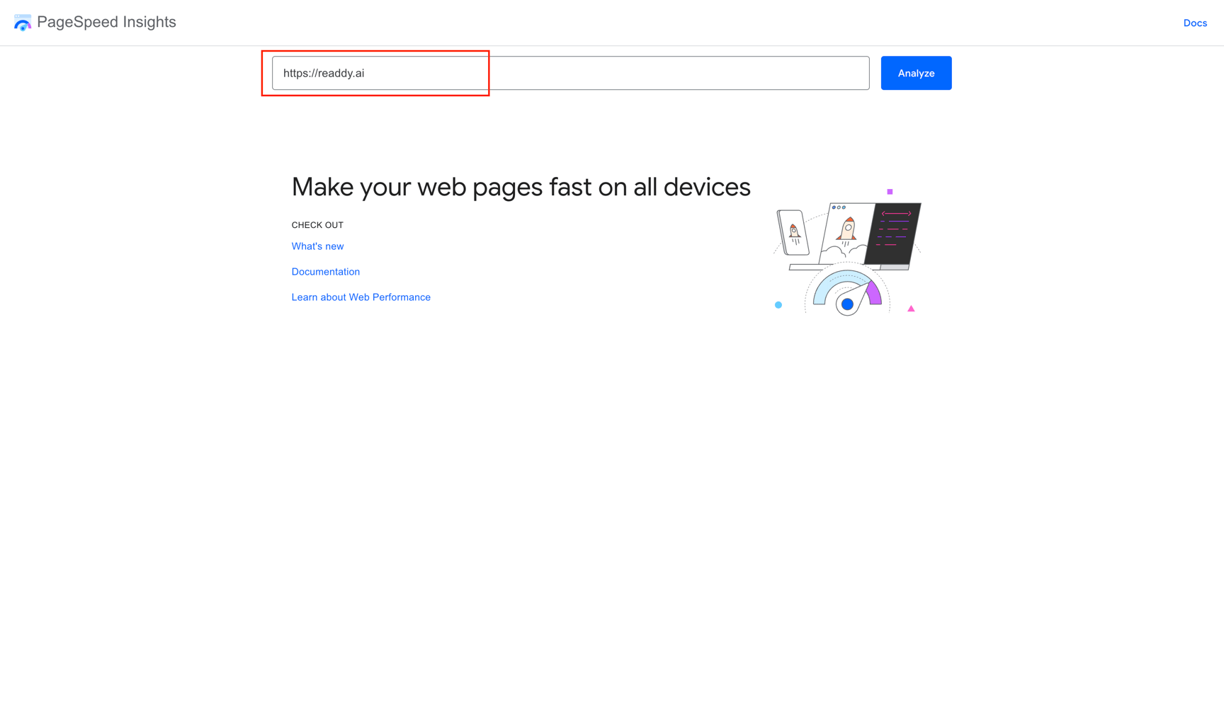 Website URL entered in PageSpeed Insights