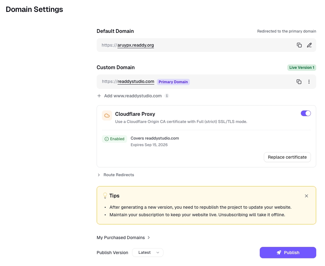 Readdy Domain Settings page with Cloudflare Proxy enabled