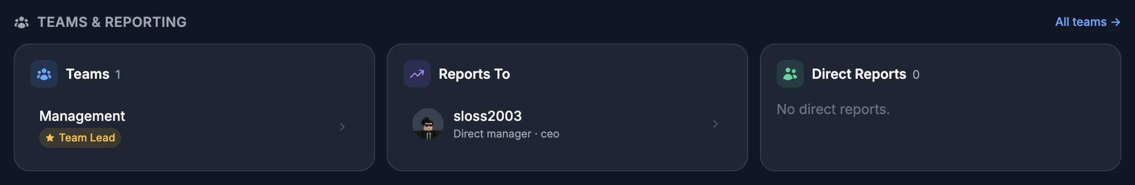 Teams panel on a user profile
