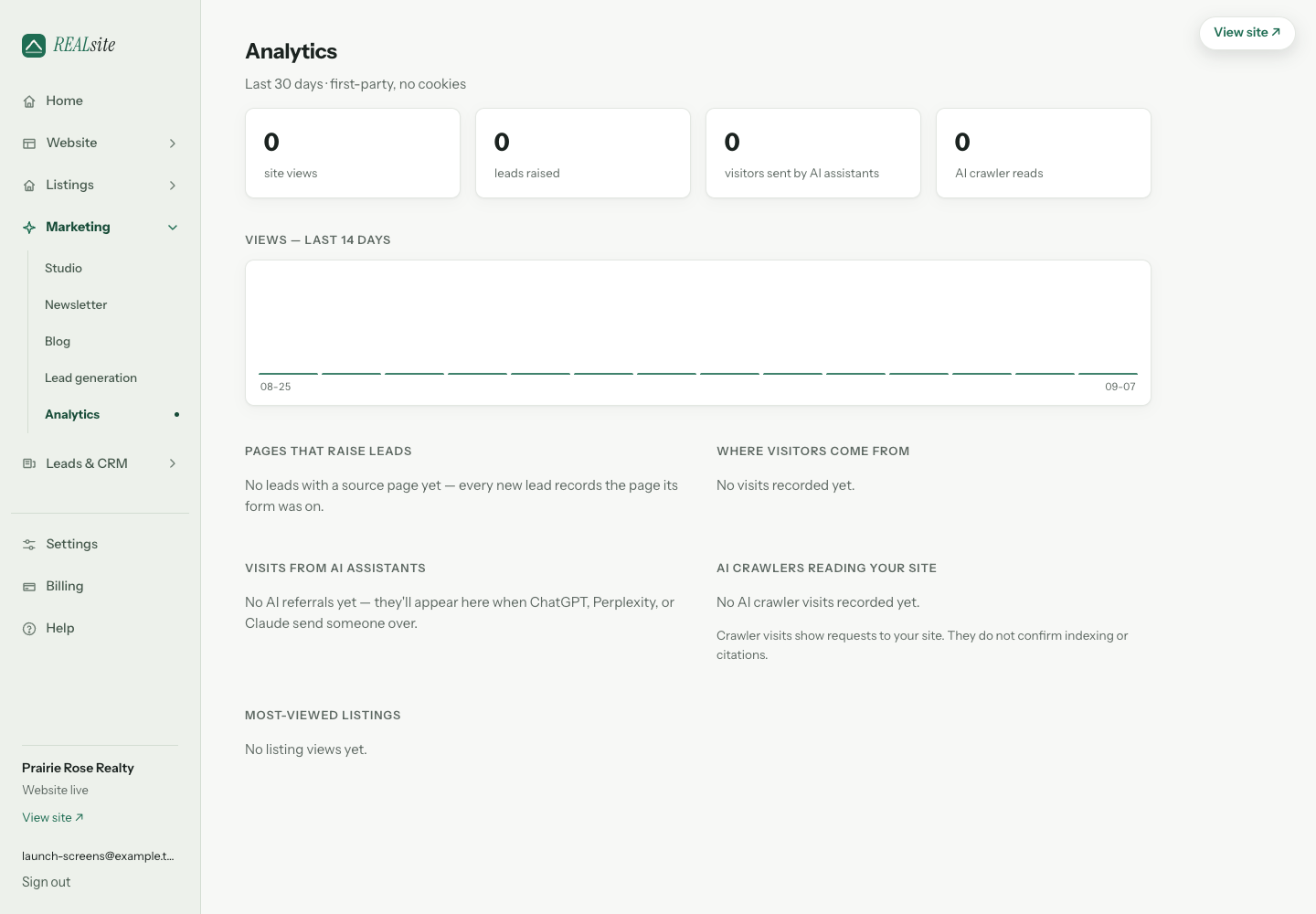 Analytics: views, leads raised, pages that raise them, and when AI assistants send you visitors.