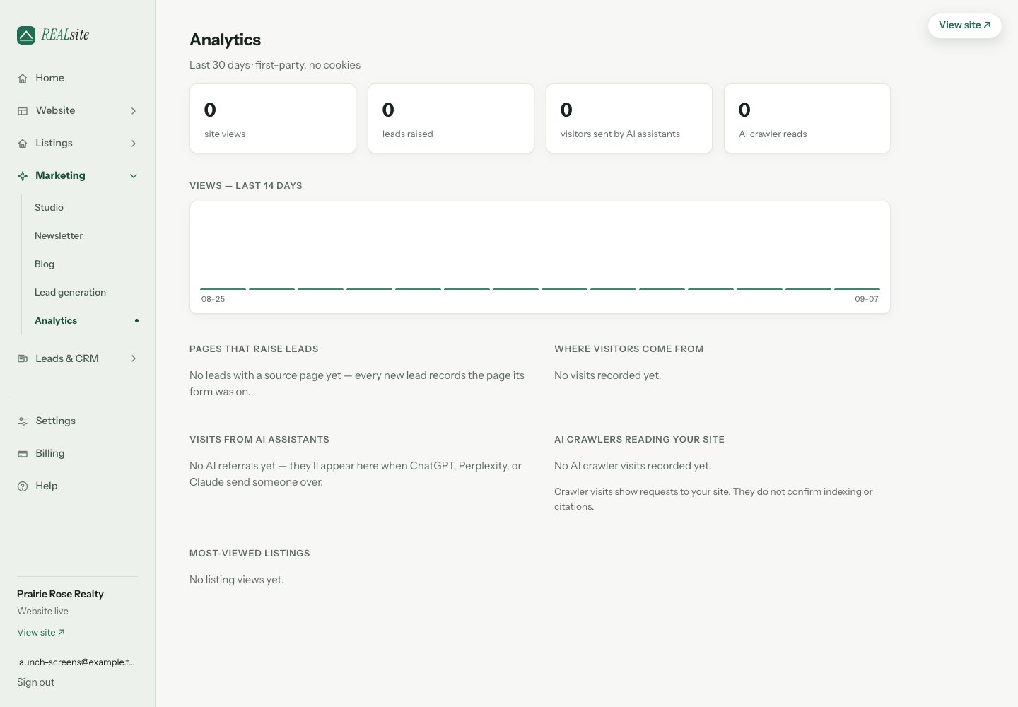 Analytics: views, leads raised, pages that raise them, and when AI assistants send you visitors.