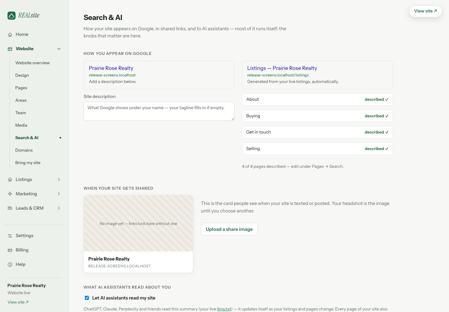Search & AI: your descriptions, verification, analytics IDs, and the AI access switch.