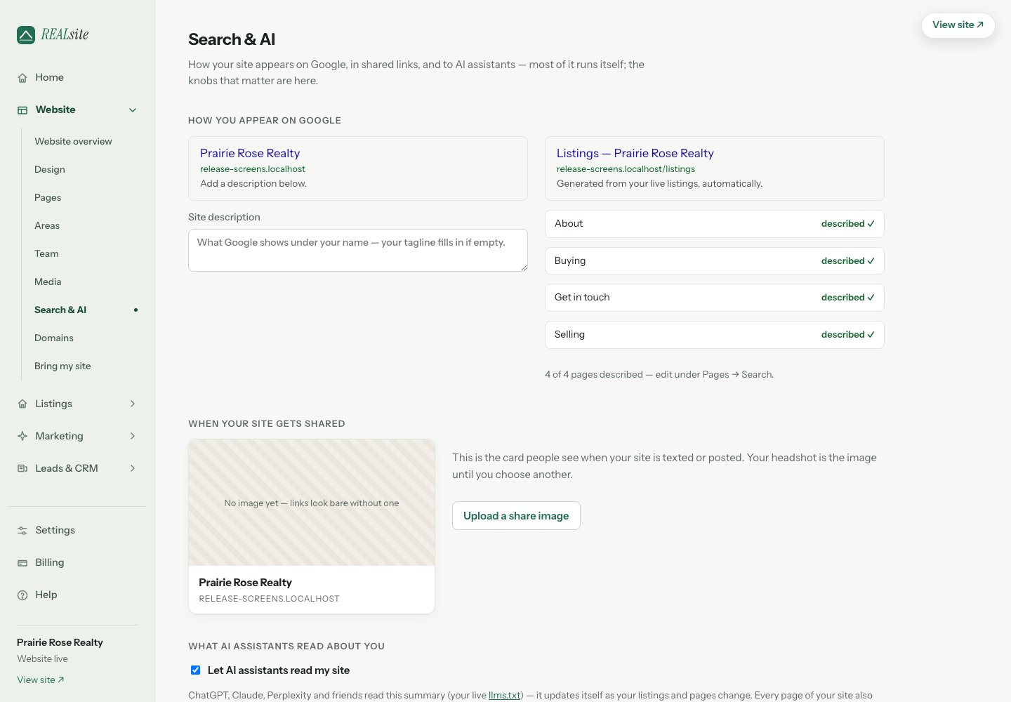 Search & AI: your descriptions, verification, analytics IDs, and the AI access switch.