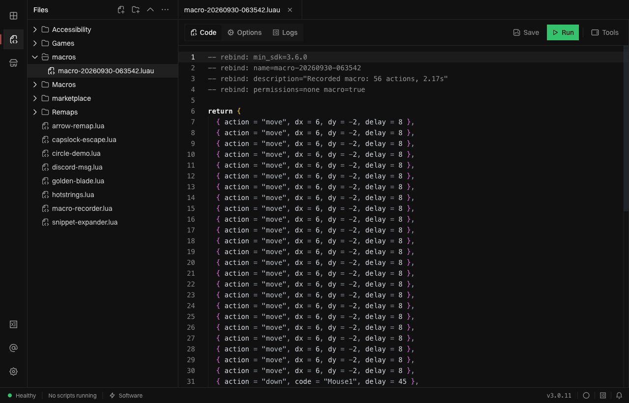 Scripts view with the macros folder expanded and a saved macro open in the code editor, beside the Options and Run controls