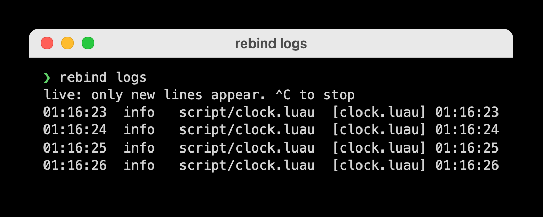 Terminal output of rebind logs streaming one info line per second from clock.luau