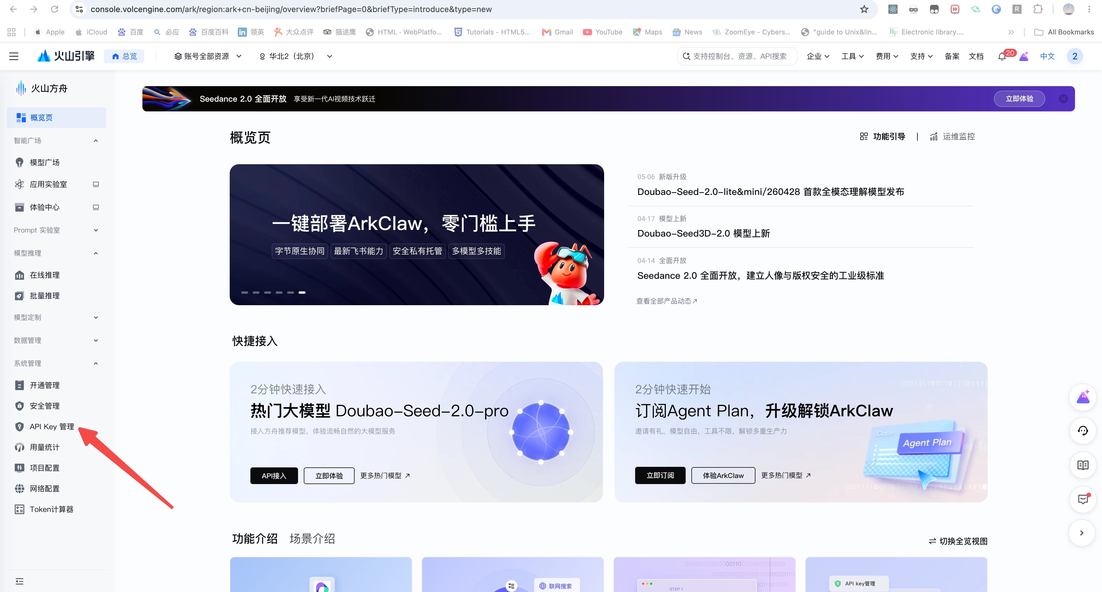 API Key 管理入口