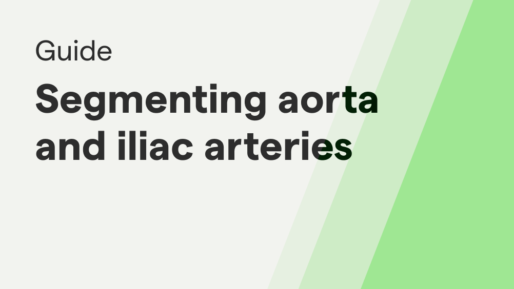 aorta