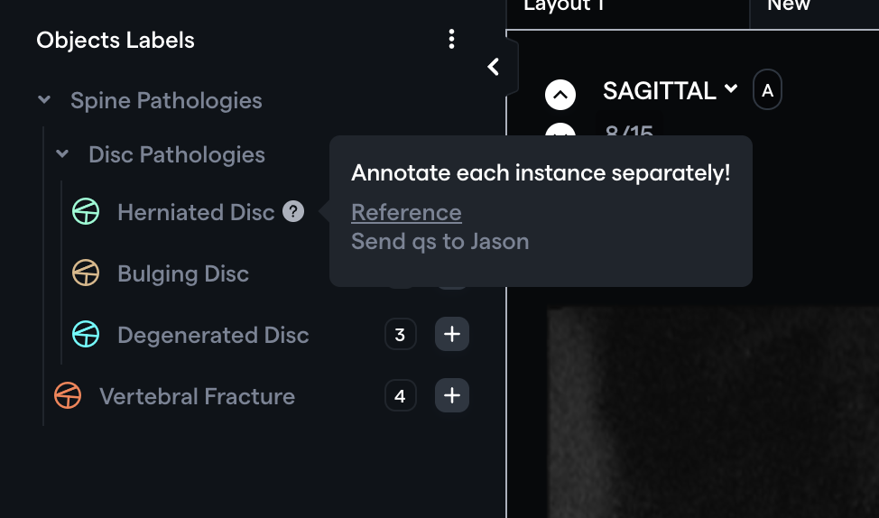 The HTML Tooltip that appears while hovering your cursor over the '?' icon