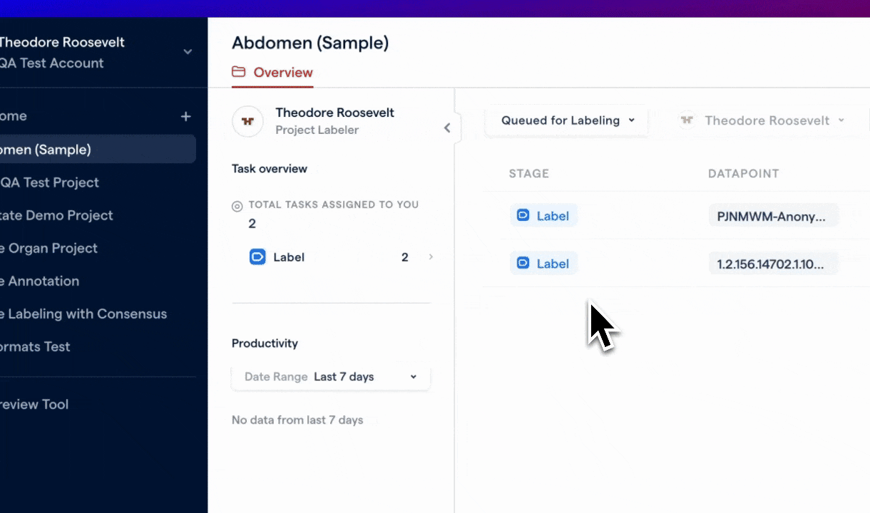 Viewing a Project's Reference Standards as a Labeler