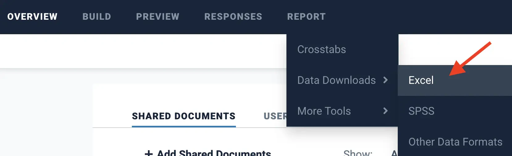 Decipher path to the Excel export
