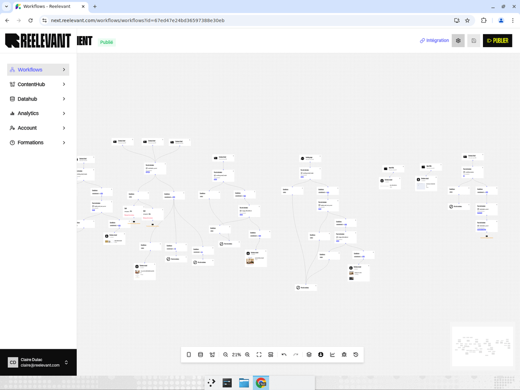 Workflow listing page showing the Reelevant platform sidebar