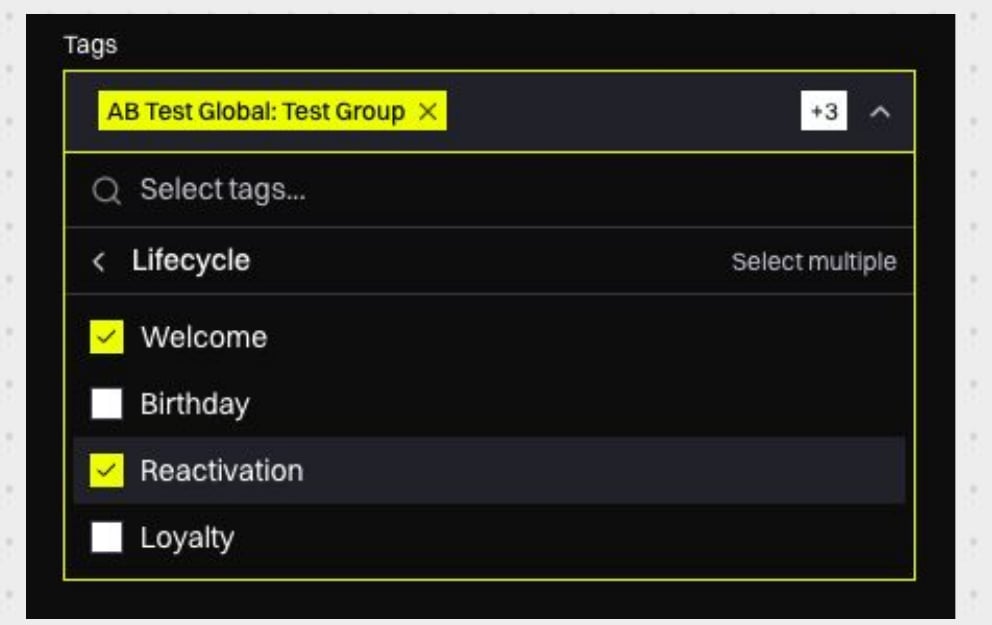 Tag selector showing multiple value selection for the Lifecycle key