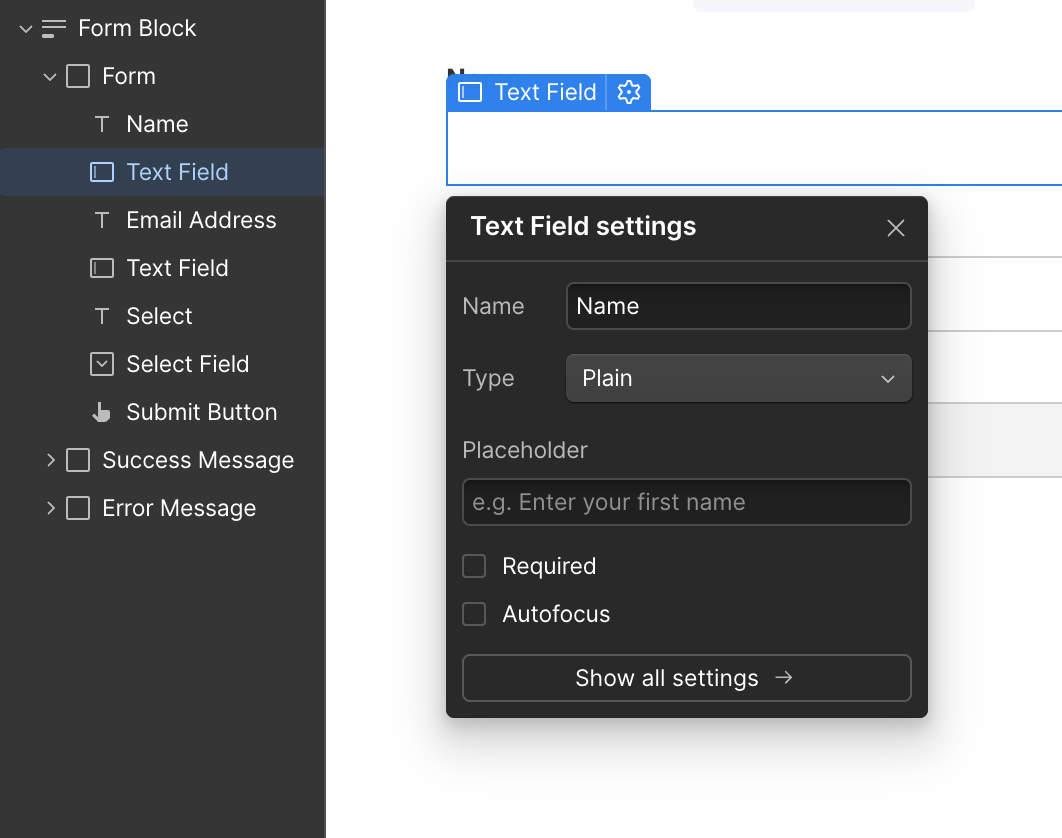 Webflow's Text Field settings with the Name used as the webhook payload key.