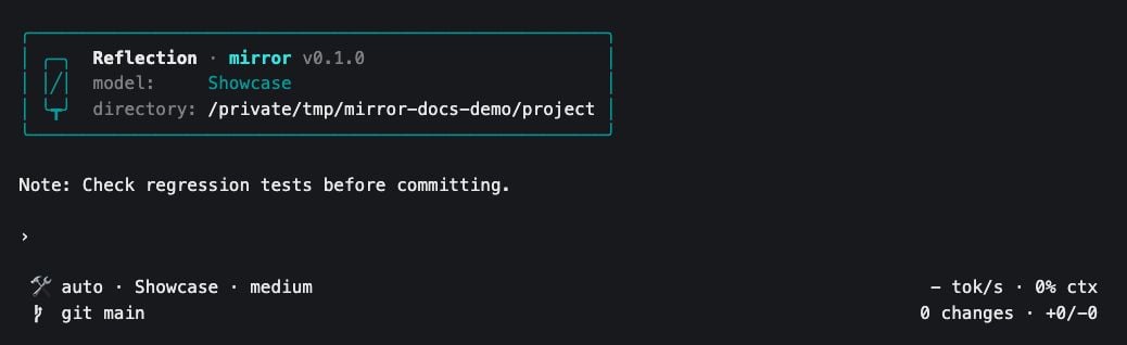 A custom workspace reminder displayed above the Mirror prompt