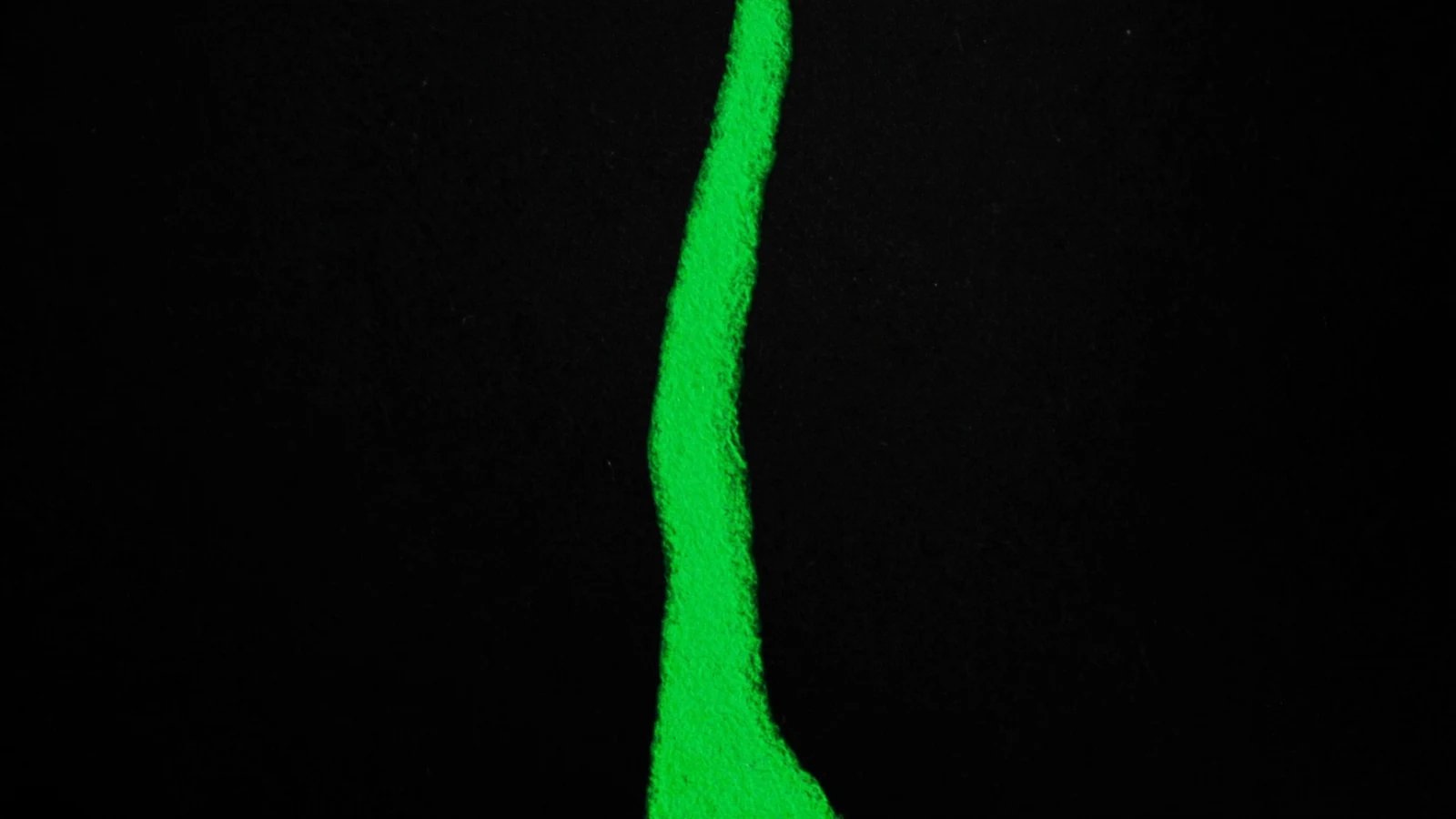 A wide green line undulating from one edge of a black background to the other