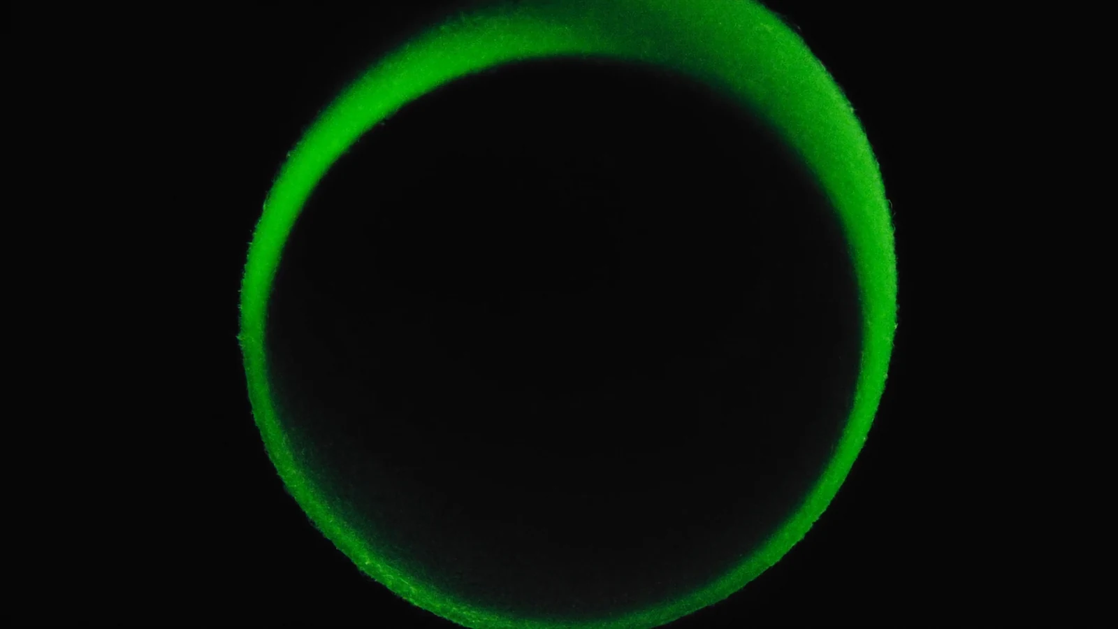 A ring of green light closed on itself against a black background