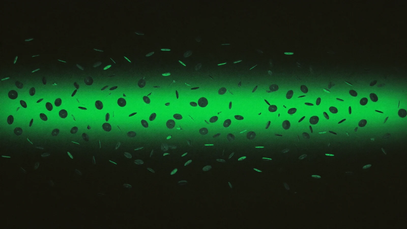 A green beam of light scattered with dark specks