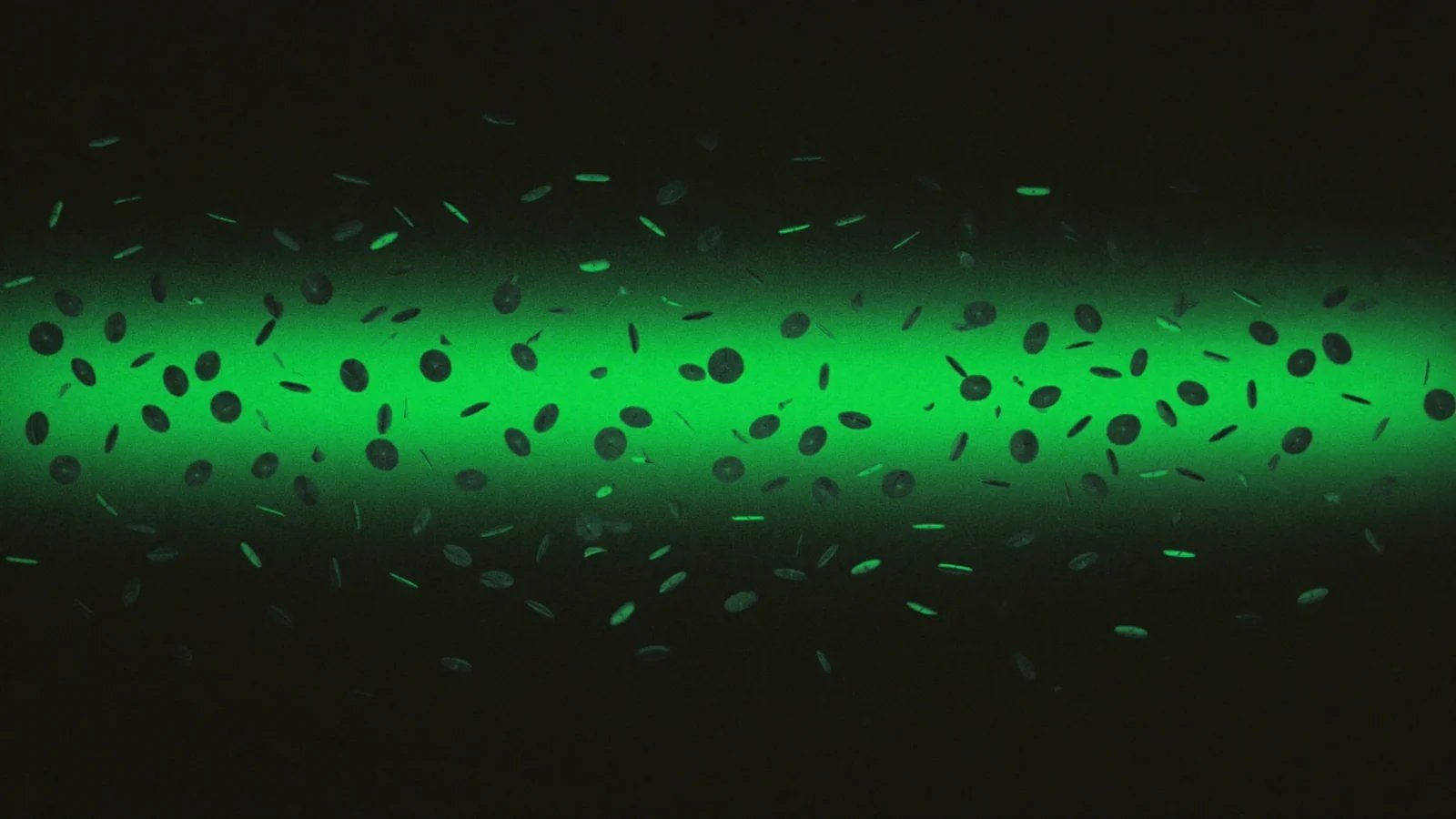 A green beam of light scattered with dark specks