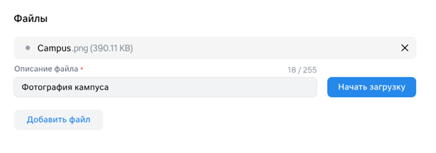24242424.png