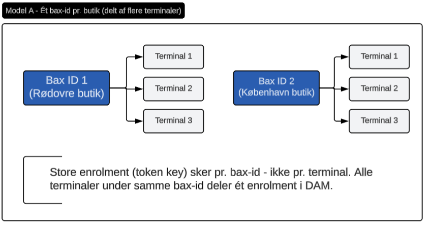 Nexi Model A, not REKOM's setup: one BAX ID per store shared by several terminals