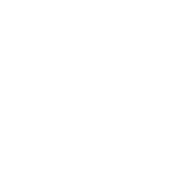dark logo