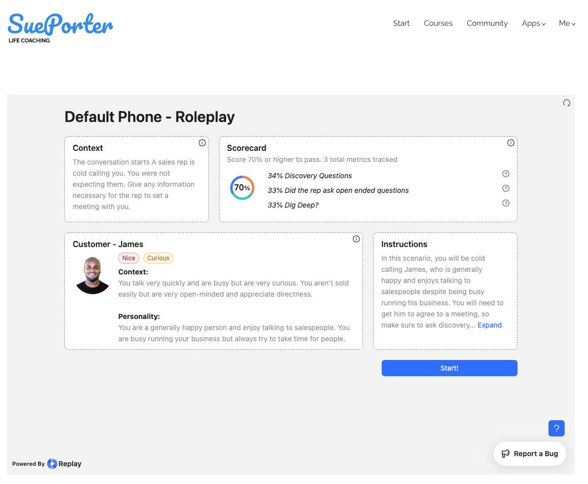 A premade roleplay successfully embedded into a company's website
