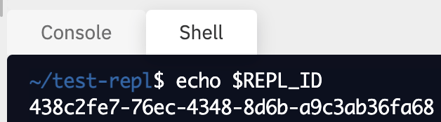 image showing the echo command