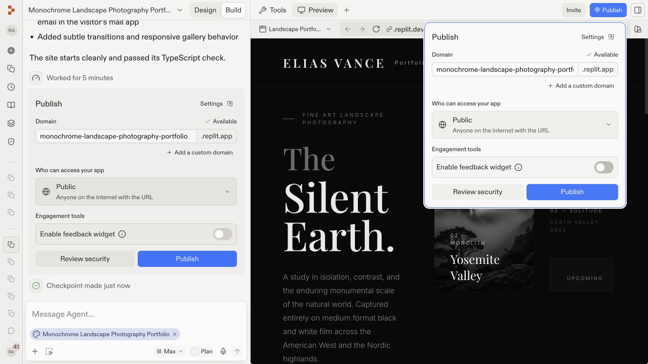 The Publish dialog with the generated subdomain, access settings, and Publish button