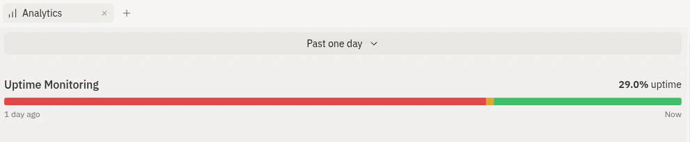 Analytics tab Uptime Monitoring view with a Past one day time-range selector and a large uptime bar showing 29.0% uptime