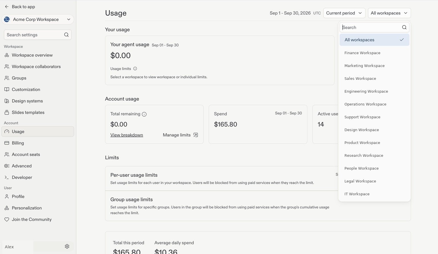 Usage page with the Workspace filter open, showing All workspaces and individual example Workspaces.