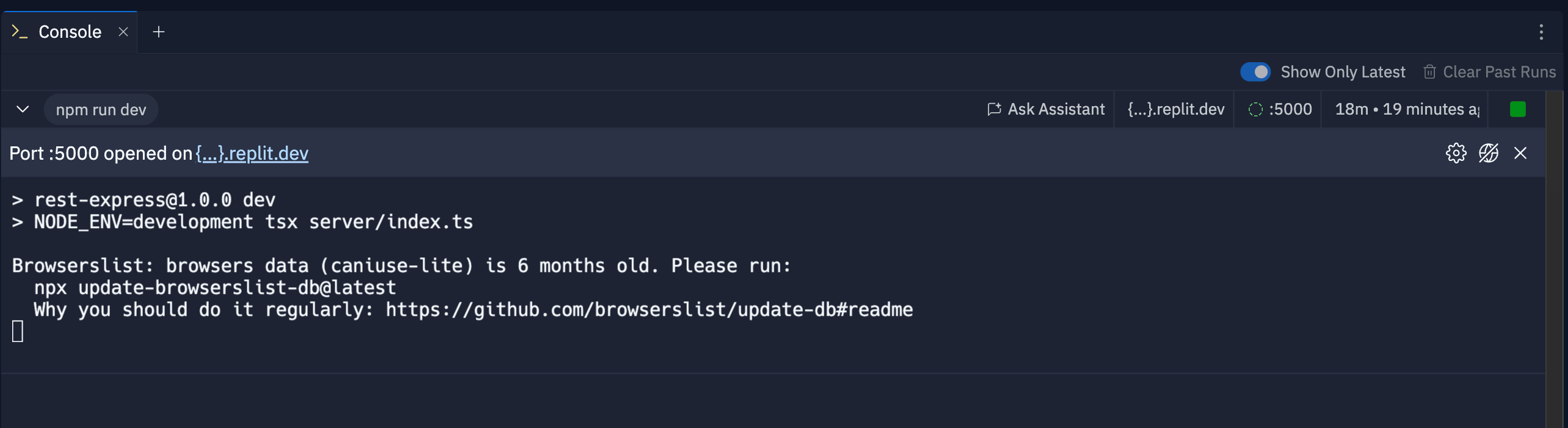 screenshot of the Console workspace tool