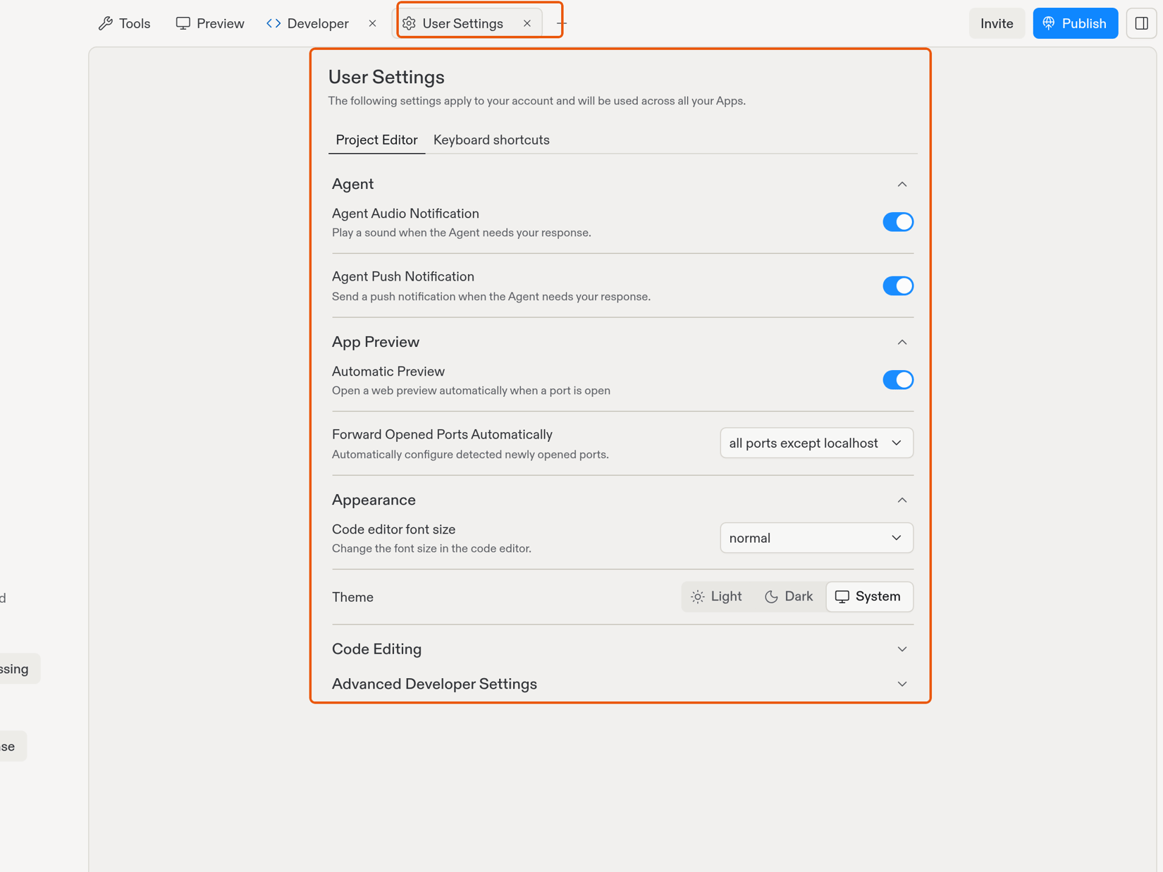 Crazy User Setting User Settings - Replit
