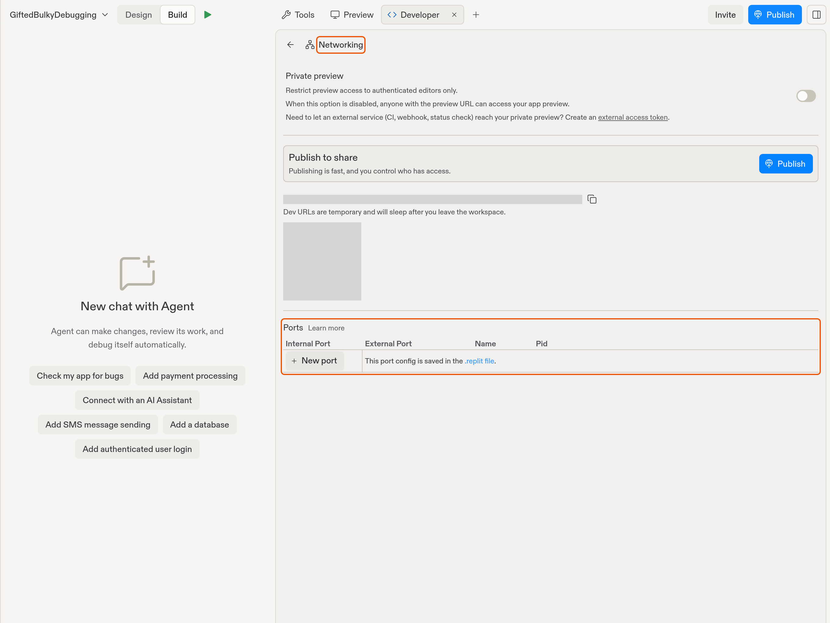 Project Editor with the Developer tab open to Networking, highlighting the Networking heading and empty Ports table with the New port action