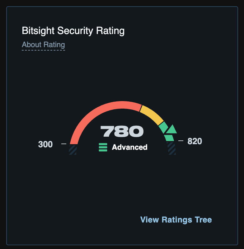 Bitsight security score overview