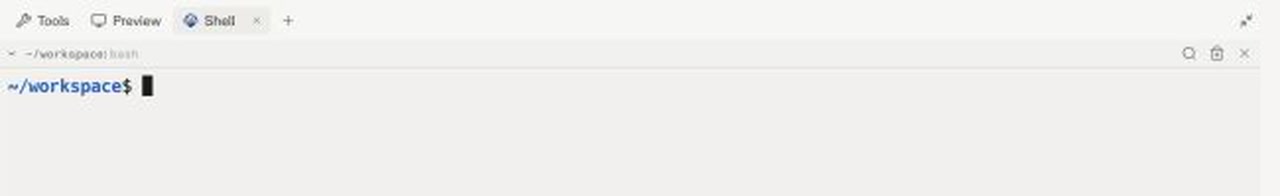 Shell tab open with an active workspace prompt