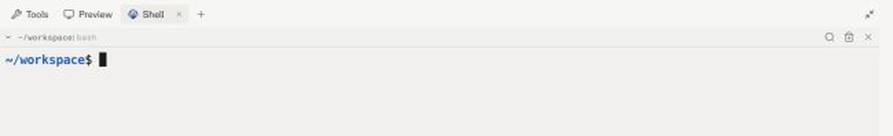 Shell tab open with an active workspace prompt