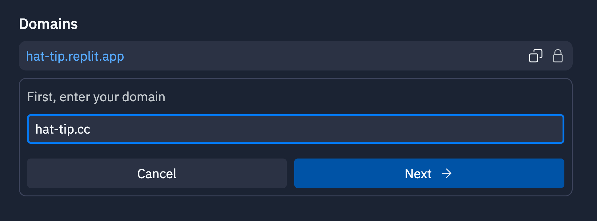 screenshot of the DNS settings
