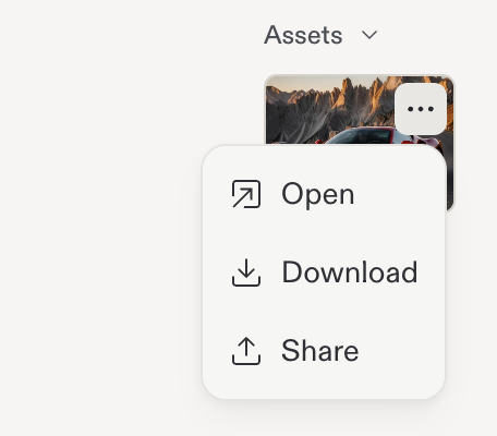 Asset three-dot menu with Open, Download, and Share options