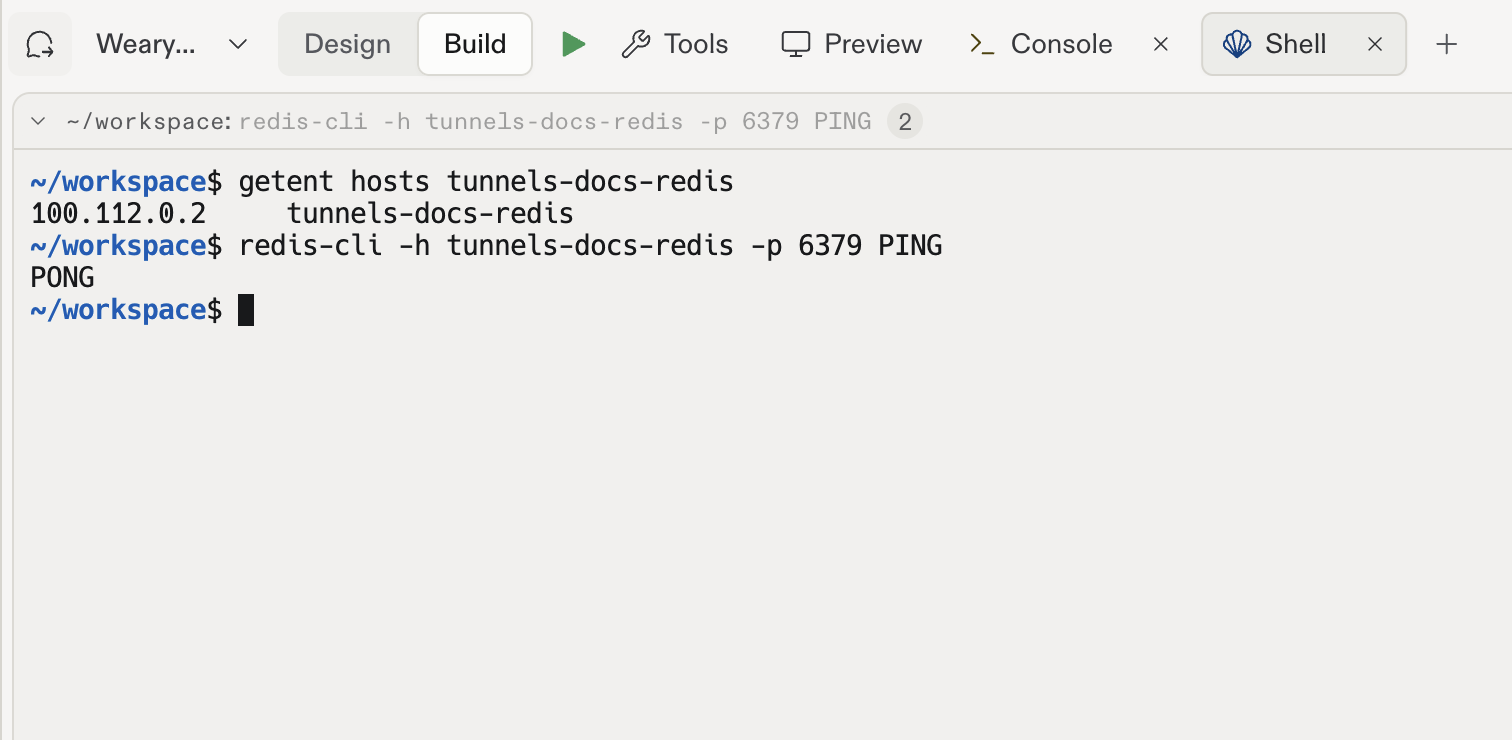 Hostname resolution and a successful Redis PONG in the project Shell.