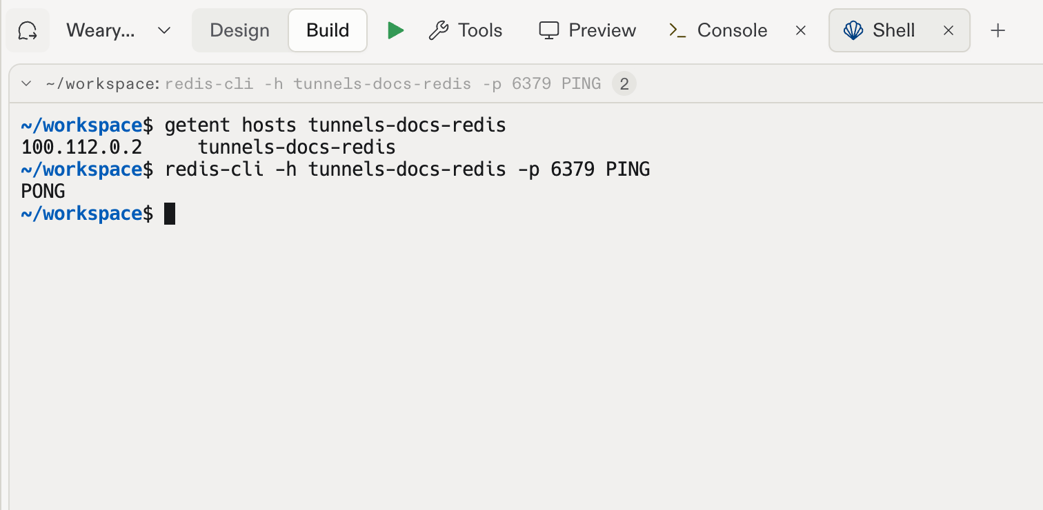 Hostname resolution and a successful Redis PONG in the project Shell.