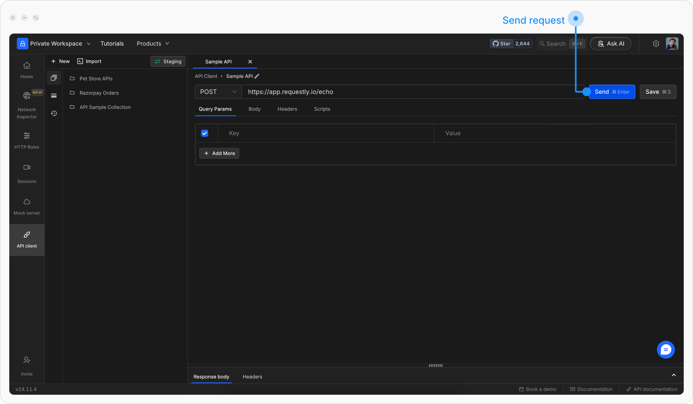 The image shows the Requestly interface with a POST request to https://app.requestly.io/echo and the "Send" button towards the top right corner highlighted for executing the request.