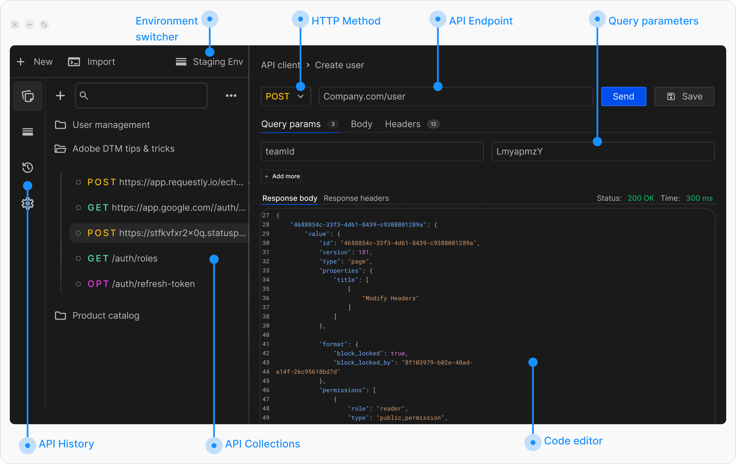 Send API Request Screenshot