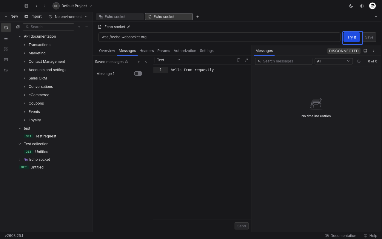 A saved WebSocket example open in Requestly, showing the Try It button in the URL bar in place of Connect