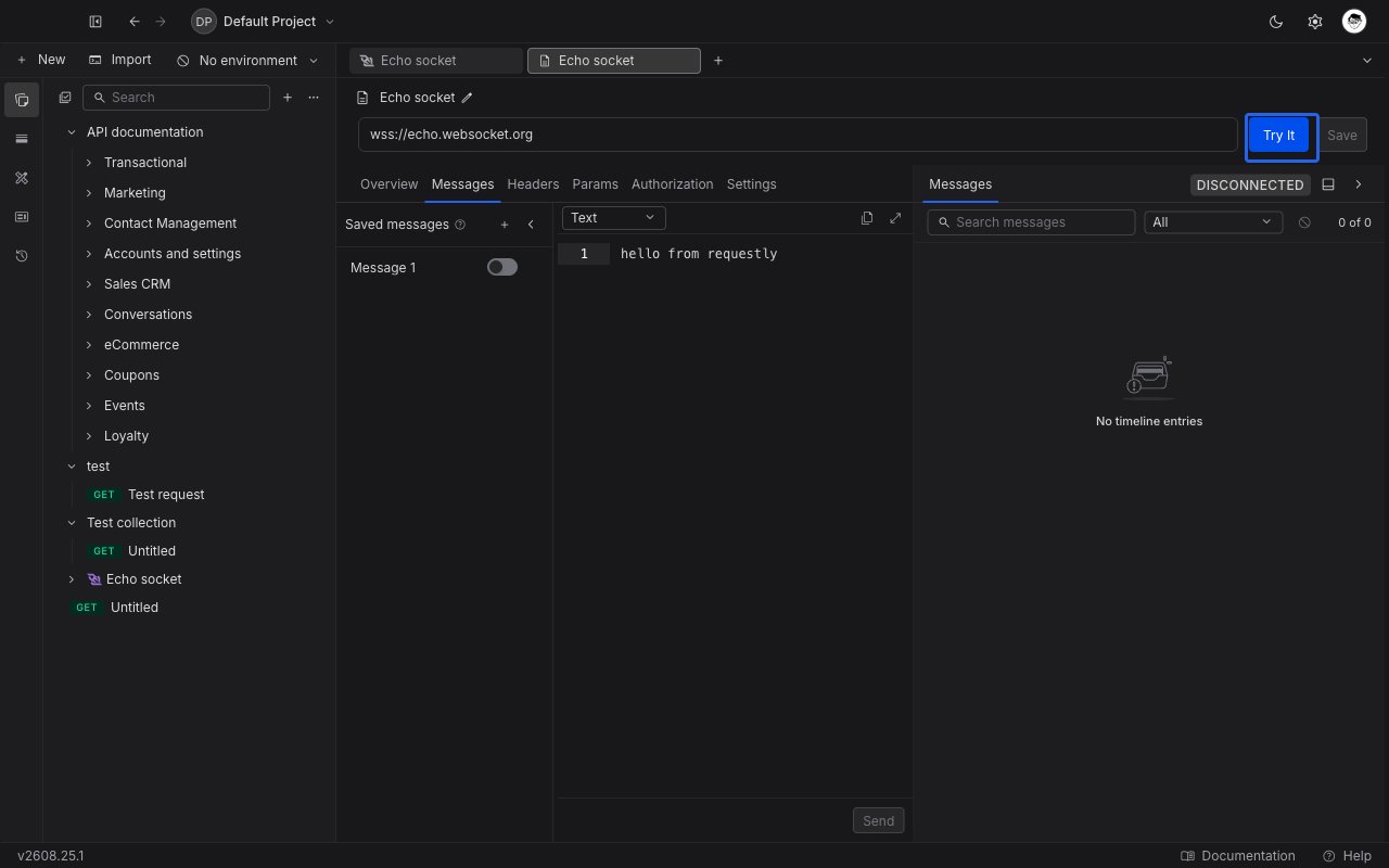 A saved WebSocket example open in Requestly, showing the Try It button in the URL bar in place of Connect