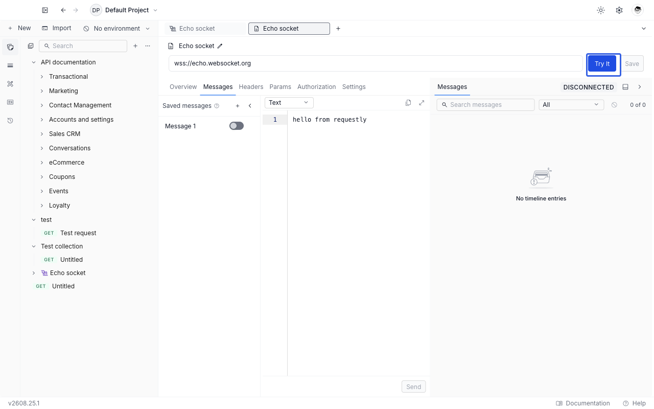 A saved WebSocket example open in Requestly, showing the Try It button in the URL bar in place of Connect