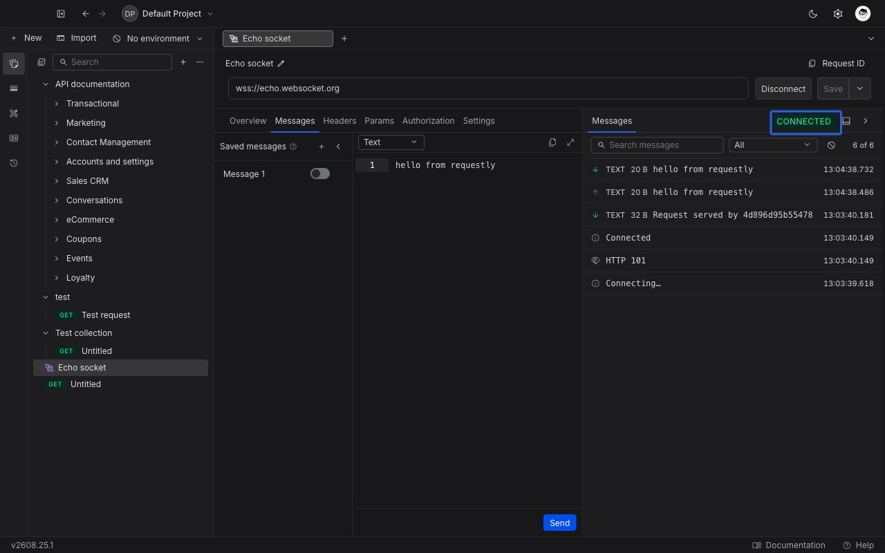 WebSocket request editor in Requestly with a connected socket, the Messages tab open, and a sent and received message in the session panel on the right