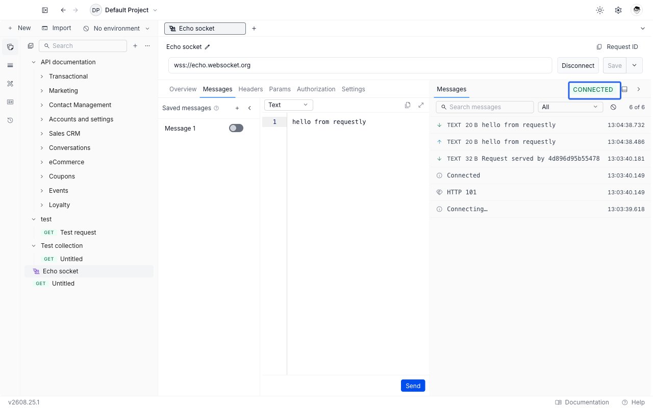 WebSocket request editor in Requestly with a connected socket, the Messages tab open, and a sent and received message in the session panel on the right