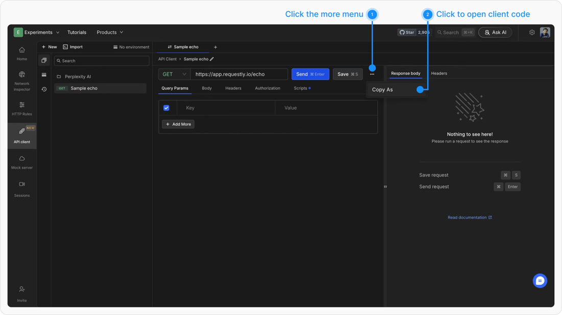 Generate Client Code - Requestly